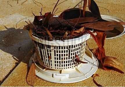 A swimming pool skimmer basket filled with dried leaves and debris sits on a beige surface. The baskets lid is open, and shadows are cast on the ground.