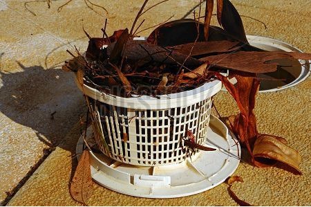 A swimming pool skimmer basket filled with dried leaves and debris sits on a beige surface. The baskets lid is open, and shadows are cast on the ground.